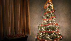 Este es el origen del árbol de Navidad 