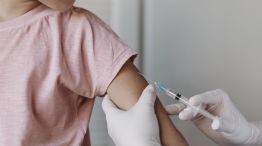 Brote de coqueluche 02122025