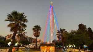 Arbol de Navidad Cordoba