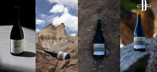 Bodega del Carmen en Delirio