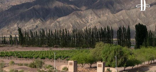 La inesperada riqueza de Calingasta