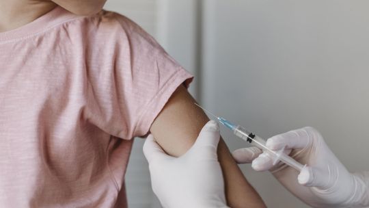 Brote de coqueluche 02122025