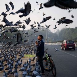 Un hombre ofrece oraciones junto a una carretera, mientras palomas vuelan en una mañana con smog en Nueva Delhi. Foto de Manan VATSYAYANA / AFP | Foto:AFP