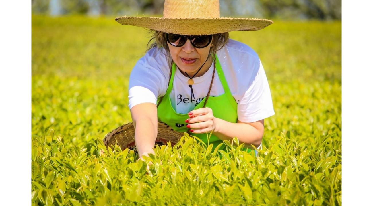 JaoChá: el arte chaqueño de crear blends que despiertan emociones