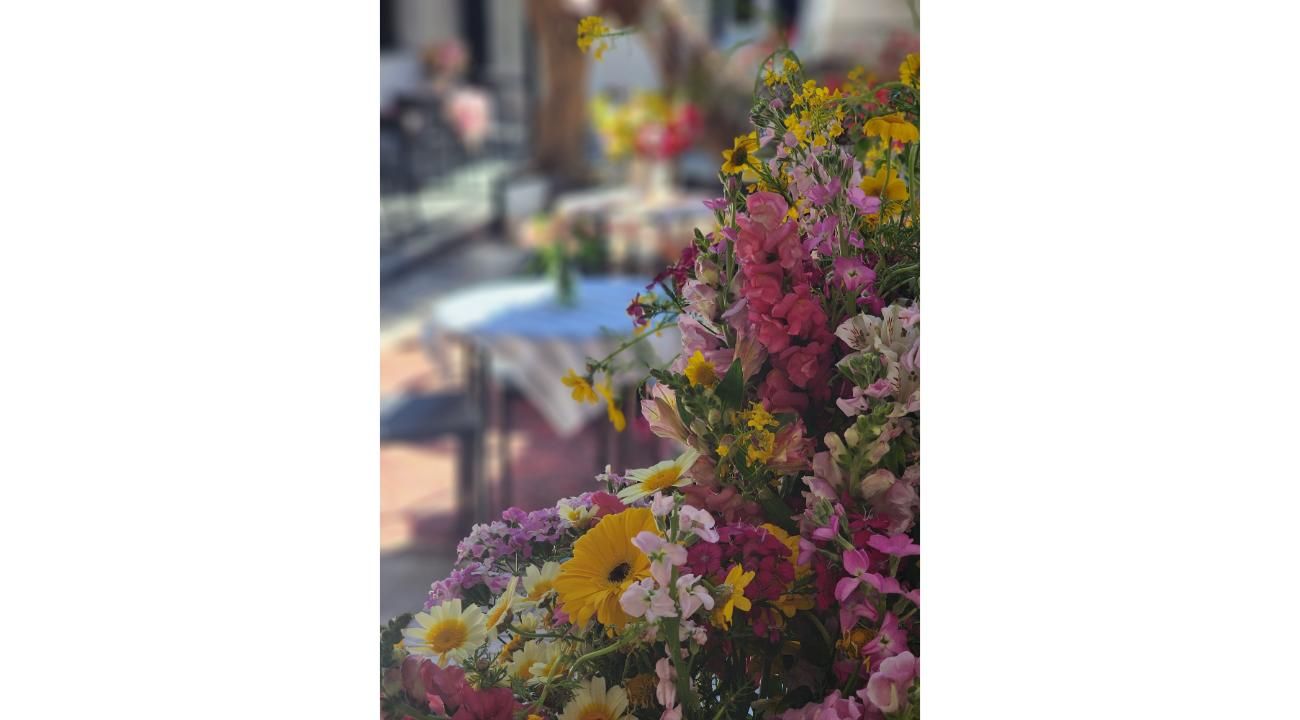 Liquidambar Ambientaciones 