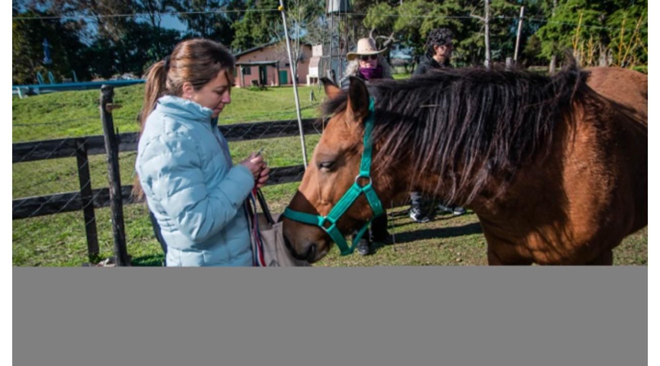 Los caballos nos devuelven la presencia