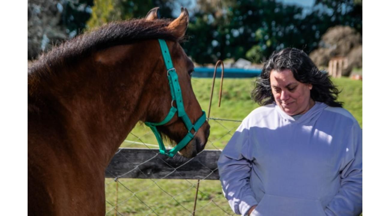 Los caballos nos devuelven la presencia