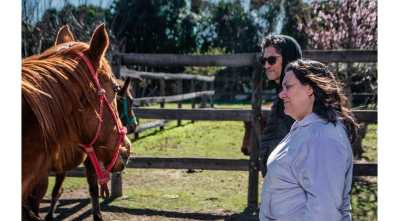 Los caballos nos devuelven la presencia