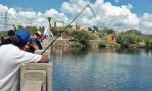 Extienden la veda total de pesca de pejerrey hasta el 10 de diciembre
