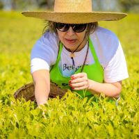 JaoChá: el arte chaqueño de crear blends que despiertan emociones