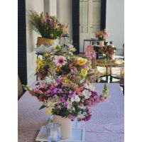 Liquidambar Ambientaciones 