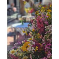 Liquidambar Ambientaciones 