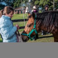 Los caballos nos devuelven la presencia