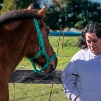 Los caballos nos devuelven la presencia