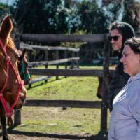 Los caballos nos devuelven la presencia