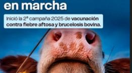 03-12-2025 vacunación aftosa Misiones