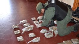 droga en encomiendas corrientes