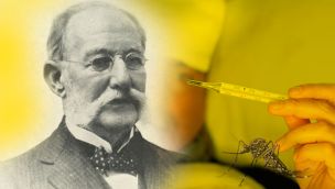 Día del Médico: Quién era Carlos Finlay, el cubano que dio origen a la conmemoración en 1833 03122025