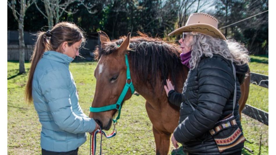 Los caballos nos devuelven la presencia