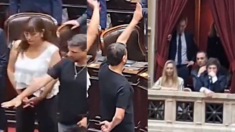 Grabois juró como diputado 20251203