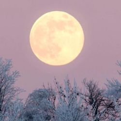 Es la última luna llena del año.