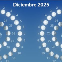 Así es como se verá la Luna en los hemisferios norte y sur en cada día de diciembre de 2025.