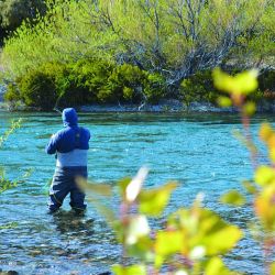 La trucha, huidiza y mañera, y  sus hábitats neuquinos son un reto para quien pesca con mosca.