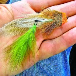 La trucha, huidiza y mañera, y  sus hábitats neuquinos son un reto para quien pesca con mosca.