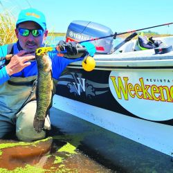 La laguna Vitel estuvo seca durante muchos años. Pero gracias al trabajo local, las lluvias y el aporte de agua de arroyos, volvió a nacer tanto para tarariras como para pejerreyes. La relevamos después  de varias temporadas,  y la verdad es que  vale una escapada.