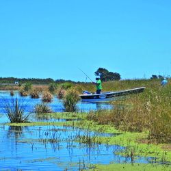 La laguna Vitel estuvo seca durante muchos años. Pero gracias al trabajo local, las lluvias y el aporte de agua de arroyos, volvió a nacer tanto para tarariras como para pejerreyes. La relevamos después  de varias temporadas,  y la verdad es que  vale una escapada.