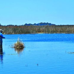 La laguna Vitel estuvo seca durante muchos años. Pero gracias al trabajo local, las lluvias y el aporte de agua de arroyos, volvió a nacer tanto para tarariras como para pejerreyes. La relevamos después  de varias temporadas,  y la verdad es que  vale una escapada.