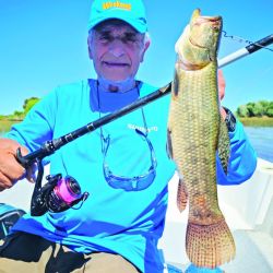 La laguna Vitel estuvo seca durante muchos años. Pero gracias al trabajo local, las lluvias y el aporte de agua de arroyos, volvió a nacer tanto para tarariras como para pejerreyes. La relevamos después  de varias temporadas,  y la verdad es que  vale una escapada.