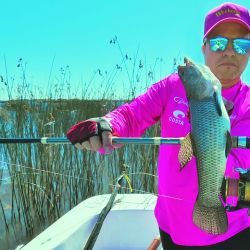 La laguna Vitel estuvo seca durante muchos años. Pero gracias al trabajo local, las lluvias y el aporte de agua de arroyos, volvió a nacer tanto para tarariras como para pejerreyes. La relevamos después  de varias temporadas,  y la verdad es que  vale una escapada.