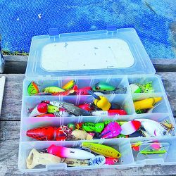 La laguna Vitel estuvo seca durante muchos años. Pero gracias al trabajo local, las lluvias y el aporte de agua de arroyos, volvió a nacer tanto para tarariras como para pejerreyes. La relevamos después  de varias temporadas,  y la verdad es que  vale una escapada.