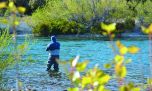 Neuquén: temporada alta, aguas bajas
