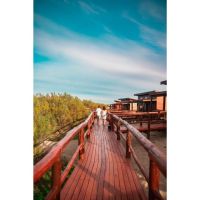 Verano en AV366: naturaleza, confort y la paz que solo se siente en Arenas Verdes