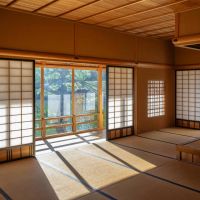 Viajar a Japón en Momiji: cuando un país te cambia el ritmo interno