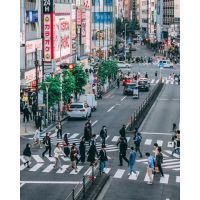 Viajar a Japón en Momiji: cuando un país te cambia el ritmo interno