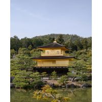 Viajar a Japón en Momiji: cuando un país te cambia el ritmo interno