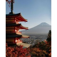 Viajar a Japón en Momiji: cuando un país te cambia el ritmo interno