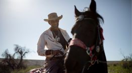 Día del Gaucho argentino