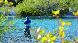 Neuquén: temporada alta, aguas bajas