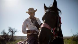 Día Nacional del Gaucho en Argentina: su origen literario, los valores de la tradición gauchesca y la figura de Martín Fierro