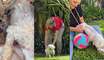 Eugenia Tobal mostró la recuperación de su perro Romeo