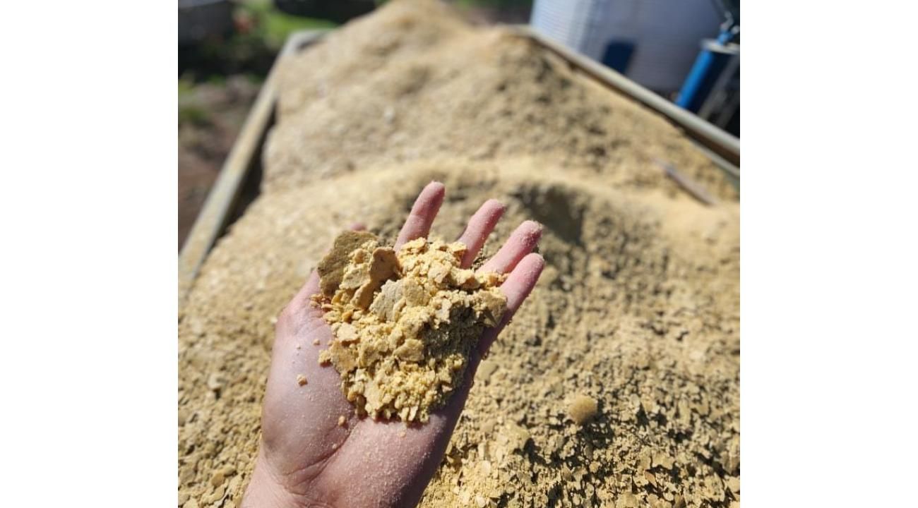 Agroindustria 2025: resiliencia, eficiencia y el ascenso de la sustentabilidad en Argentina