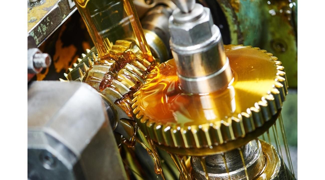 Agroindustria 2025: resiliencia, eficiencia y el ascenso de la sustentabilidad en Argentina