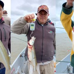 0512_mapa_pique_pesca