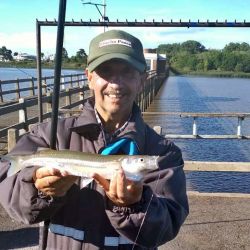 0512_mapa_pique_pesca