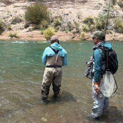 El río nos recibió con truchas residentes, no sembradas, en excelente estado, saludables y en pleno desarrollo. Si bien el tamaño promedio no es grande, la pesca es sumamente técnica y entretenida, ideal para quienes buscan desafíos más finos en ambientes naturales de montaña.