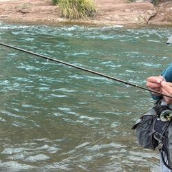 El río nos recibió con truchas residentes, no sembradas, en excelente estado, saludables y en pleno desarrollo. Si bien el tamaño promedio no es grande, la pesca es sumamente técnica y entretenida, ideal para quienes buscan desafíos más finos en ambientes naturales de montaña.